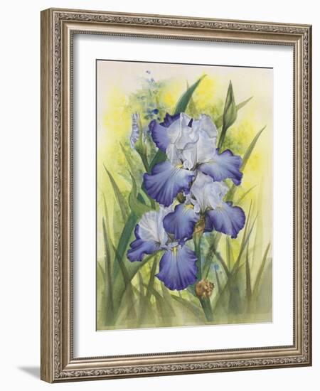 Awake-Barbara Keith-Framed Giclee Print