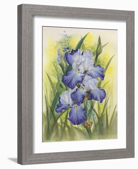 Awake-Barbara Keith-Framed Giclee Print