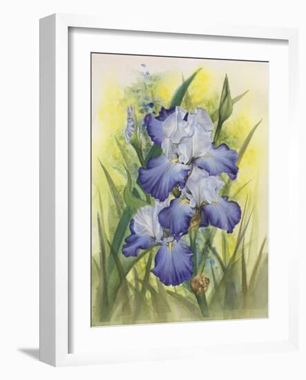 Awake-Barbara Keith-Framed Giclee Print