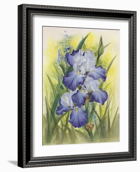 Awake-Barbara Keith-Framed Giclee Print