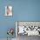 Awakening Color-Joshua Schicker-Mounted Giclee Print displayed on a wall