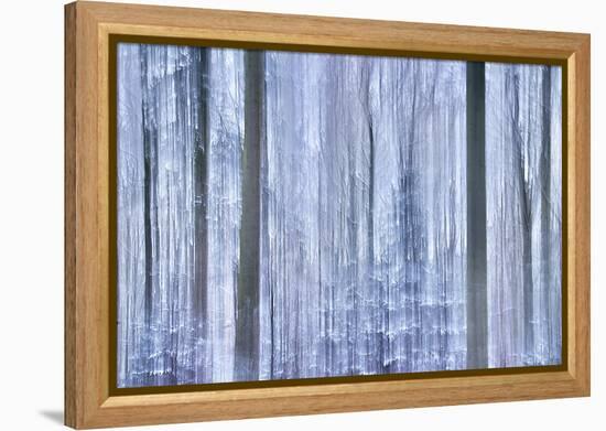 Awakening Forest-Jacob Berghoef-Framed Premier Image Canvas