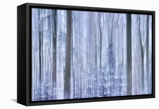 Awakening Forest-Jacob Berghoef-Framed Premier Image Canvas