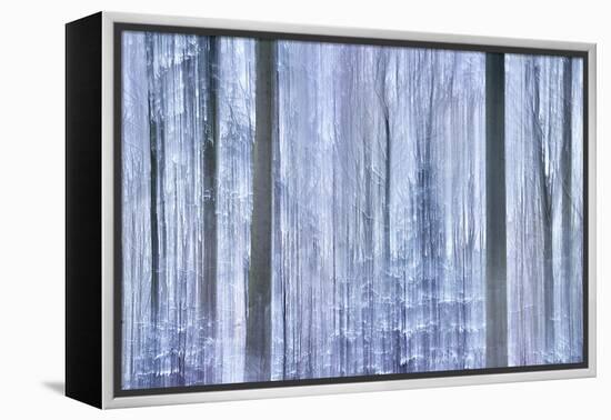 Awakening Forest-Jacob Berghoef-Framed Premier Image Canvas