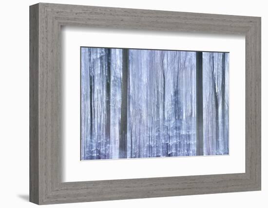 Awakening Forest-Jacob Berghoef-Framed Photographic Print