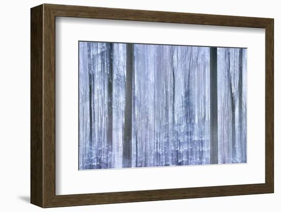 Awakening Forest-Jacob Berghoef-Framed Photographic Print