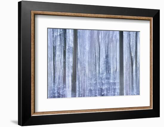 Awakening Forest-Jacob Berghoef-Framed Photographic Print