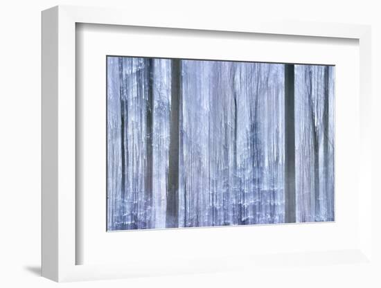 Awakening Forest-Jacob Berghoef-Framed Photographic Print