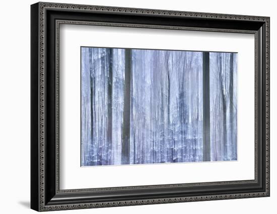 Awakening Forest-Jacob Berghoef-Framed Photographic Print