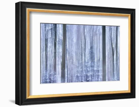 Awakening Forest-Jacob Berghoef-Framed Photographic Print