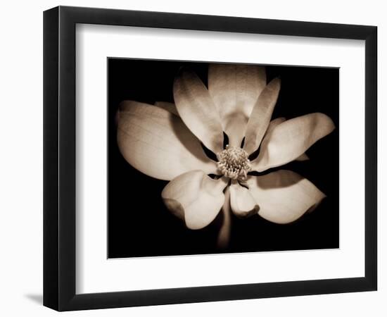 Awakening Magnolia-George Oze-Framed Photographic Print