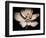 Awakening Magnolia-George Oze-Framed Photographic Print