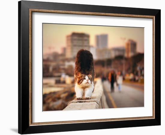 Awakening-Timucin TOPRAK-Framed Photographic Print