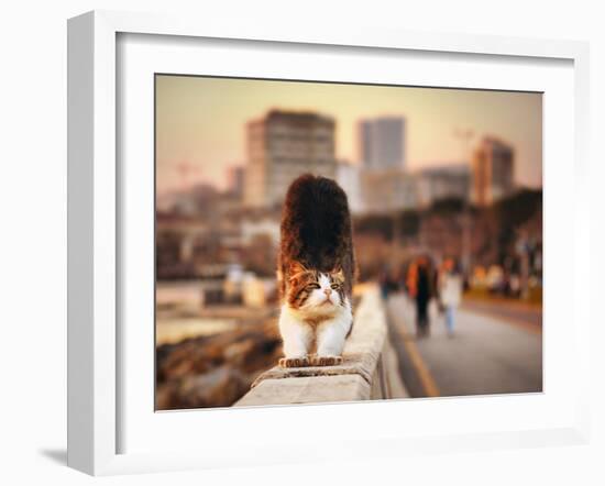 Awakening-Timucin TOPRAK-Framed Photographic Print