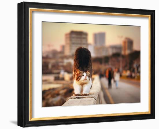 Awakening-Timucin TOPRAK-Framed Photographic Print