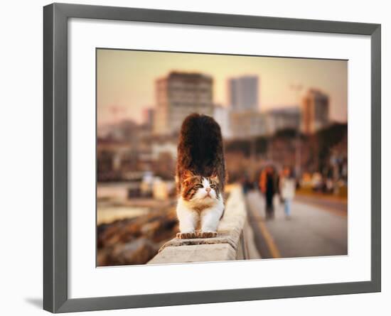 Awakening-Timucin TOPRAK-Framed Photographic Print