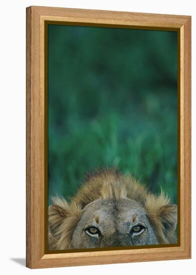 Aware-Staffan Widstrand-Framed Stretched Canvas