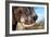 Awesome South Africa Collection - African Elephant VI-Philippe Hugonnard-Framed Photographic Print