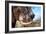 Awesome South Africa Collection - African Elephant VI-Philippe Hugonnard-Framed Photographic Print