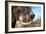 Awesome South Africa Collection - African Elephant VI-Philippe Hugonnard-Framed Photographic Print