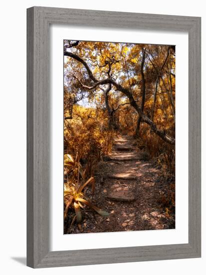 Awesome South Africa Collection - African Jungle I-Philippe Hugonnard-Framed Photographic Print