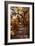 Awesome South Africa Collection - African Jungle I-Philippe Hugonnard-Framed Photographic Print