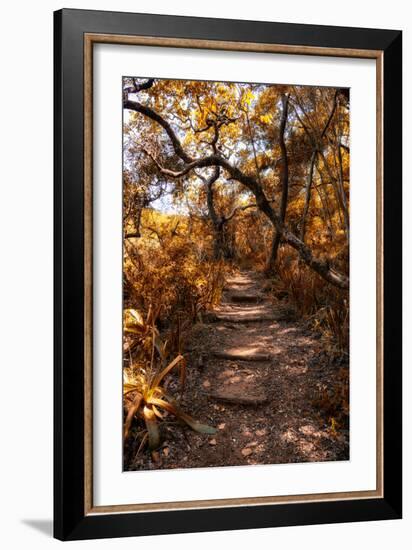 Awesome South Africa Collection - African Jungle I-Philippe Hugonnard-Framed Photographic Print