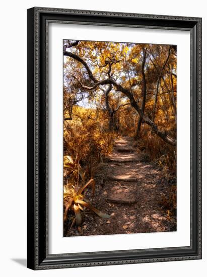 Awesome South Africa Collection - African Jungle I-Philippe Hugonnard-Framed Photographic Print