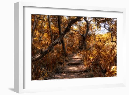 Awesome South Africa Collection - African Jungle IV-Philippe Hugonnard-Framed Photographic Print