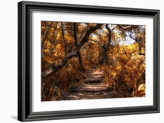 Awesome South Africa Collection - African Jungle IV-Philippe Hugonnard-Framed Photographic Print