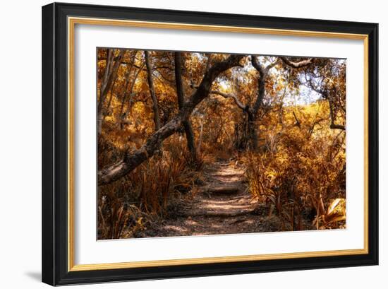 Awesome South Africa Collection - African Jungle IV-Philippe Hugonnard-Framed Photographic Print