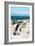 Awesome South Africa Collection - African Penguin at Boulders Beach XIV-Philippe Hugonnard-Framed Photographic Print