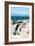 Awesome South Africa Collection - African Penguin at Boulders Beach XIV-Philippe Hugonnard-Framed Photographic Print