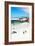 Awesome South Africa Collection - African Penguins at Boulders Beach III-Philippe Hugonnard-Framed Photographic Print