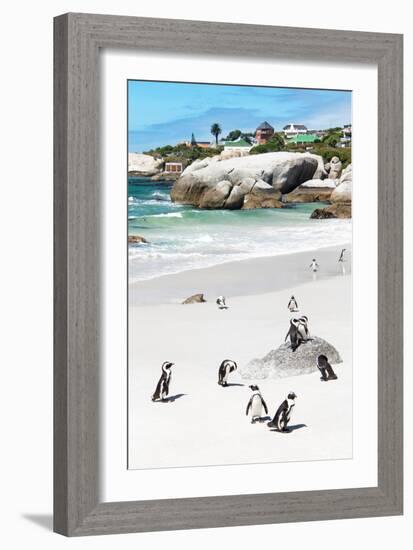 Awesome South Africa Collection - African Penguins at Boulders Beach IX-Philippe Hugonnard-Framed Photographic Print