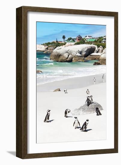 Awesome South Africa Collection - African Penguins at Boulders Beach IX-Philippe Hugonnard-Framed Photographic Print