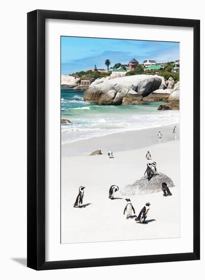 Awesome South Africa Collection - African Penguins at Boulders Beach IX-Philippe Hugonnard-Framed Photographic Print