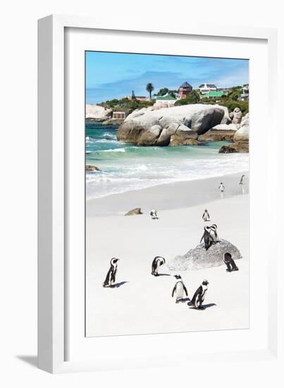 Awesome South Africa Collection - African Penguins at Boulders Beach IX-Philippe Hugonnard-Framed Photographic Print