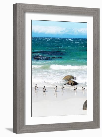 Awesome South Africa Collection - African Penguins at Boulders Beach V-Philippe Hugonnard-Framed Photographic Print