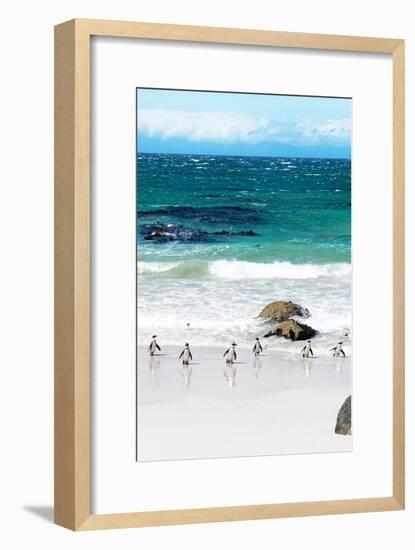 Awesome South Africa Collection - African Penguins at Boulders Beach V-Philippe Hugonnard-Framed Photographic Print