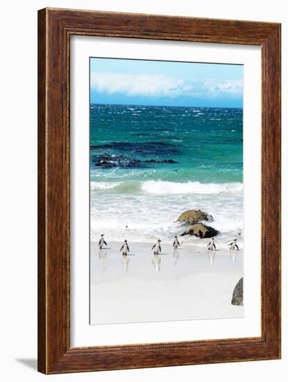 Awesome South Africa Collection - African Penguins at Boulders Beach V-Philippe Hugonnard-Framed Photographic Print