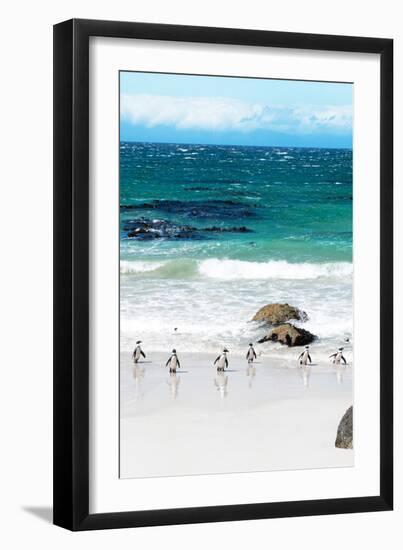 Awesome South Africa Collection - African Penguins at Boulders Beach V-Philippe Hugonnard-Framed Photographic Print