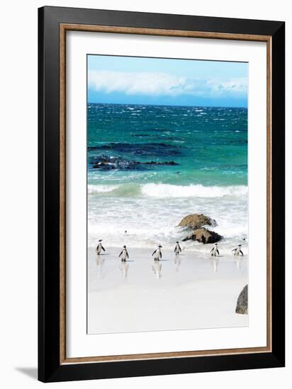 Awesome South Africa Collection - African Penguins at Boulders Beach V-Philippe Hugonnard-Framed Photographic Print