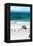 Awesome South Africa Collection - African Penguins at Boulders Beach V-Philippe Hugonnard-Framed Premier Image Canvas