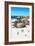 Awesome South Africa Collection - African Penguins at Boulders Beach X-Philippe Hugonnard-Framed Photographic Print