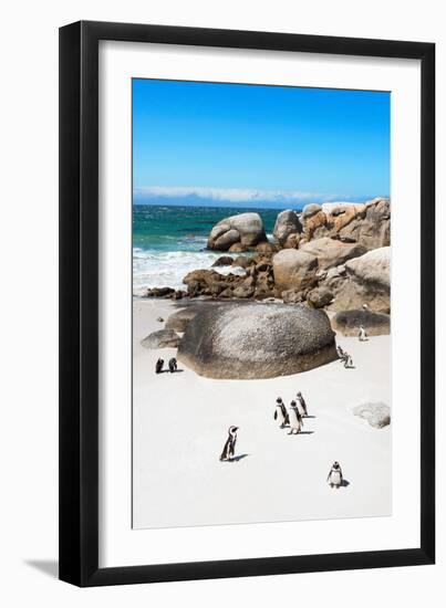 Awesome South Africa Collection - African Penguins at Boulders Beach X-Philippe Hugonnard-Framed Photographic Print