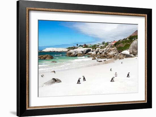 Awesome South Africa Collection - African Penguins at Boulders Beach-Philippe Hugonnard-Framed Photographic Print