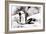 Awesome South Africa Collection - African Penguins II-Philippe Hugonnard-Framed Photographic Print