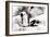 Awesome South Africa Collection - African Penguins II-Philippe Hugonnard-Framed Photographic Print