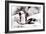 Awesome South Africa Collection - African Penguins II-Philippe Hugonnard-Framed Photographic Print